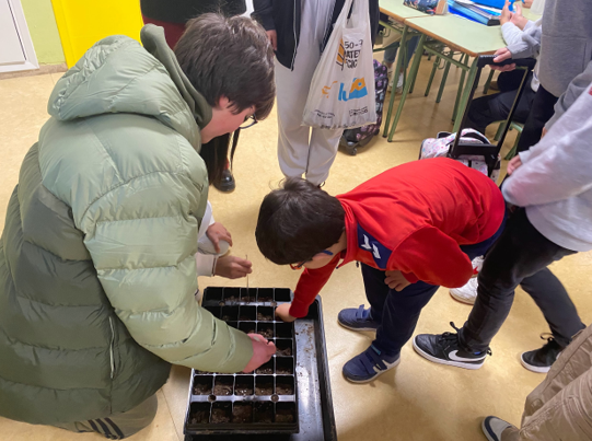 Visita a 3ºEP para la germinación de nueces.